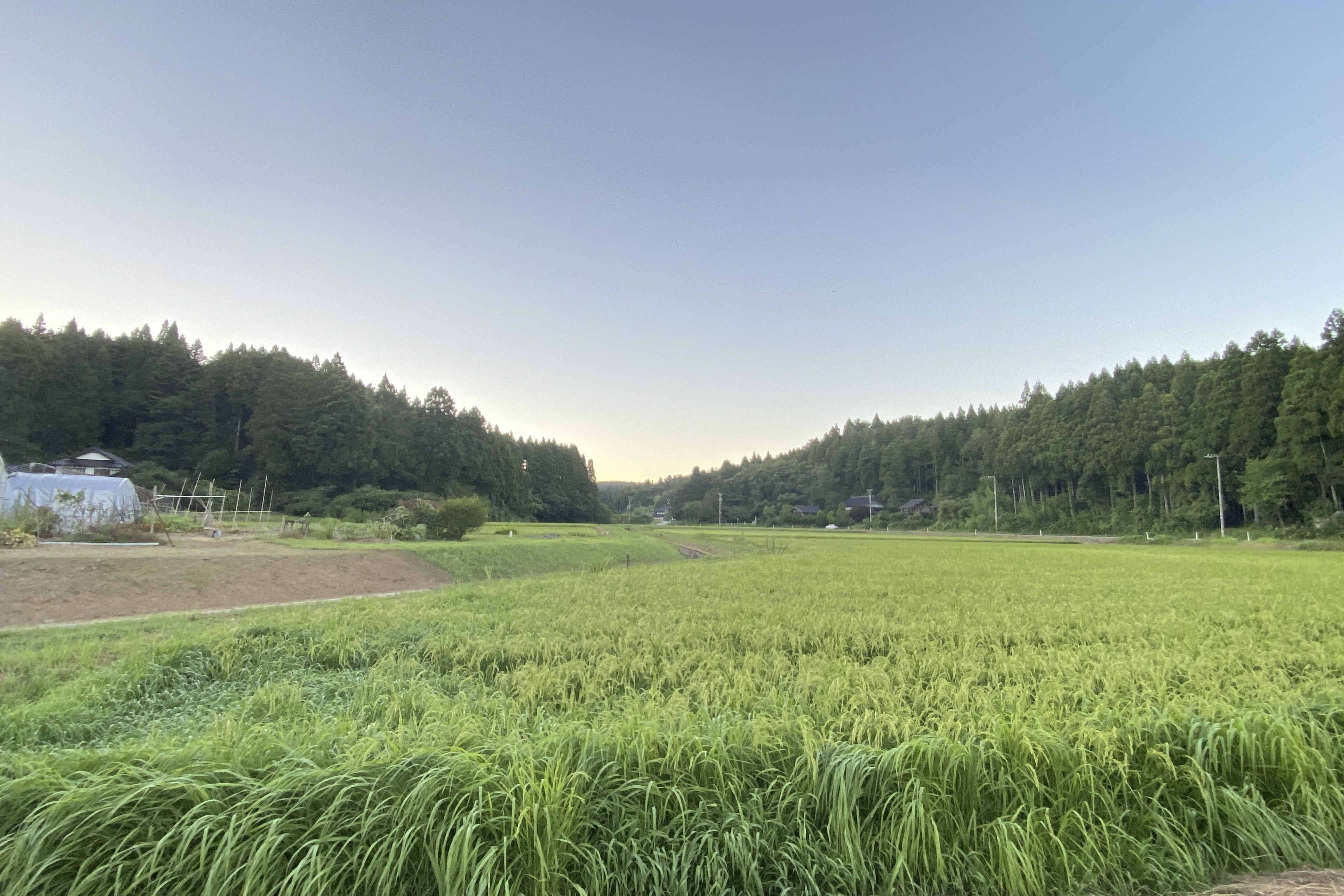 能登の田園風景